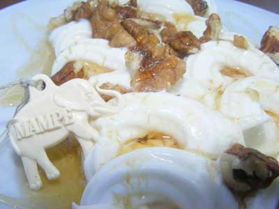 Mampfred rüsselt im griechischen Joghurt