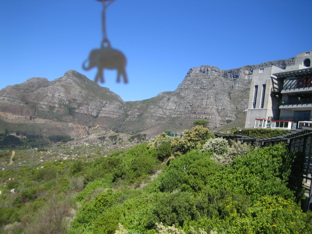 Mampfred ist tief beeindruckt vom Tafelberg