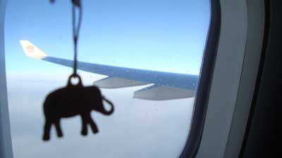 Mampfred schaut aufgeregt aus dem Flugzeug-Fenster
