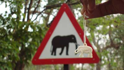 Mampfred rüsselt mit indischen Elefanten